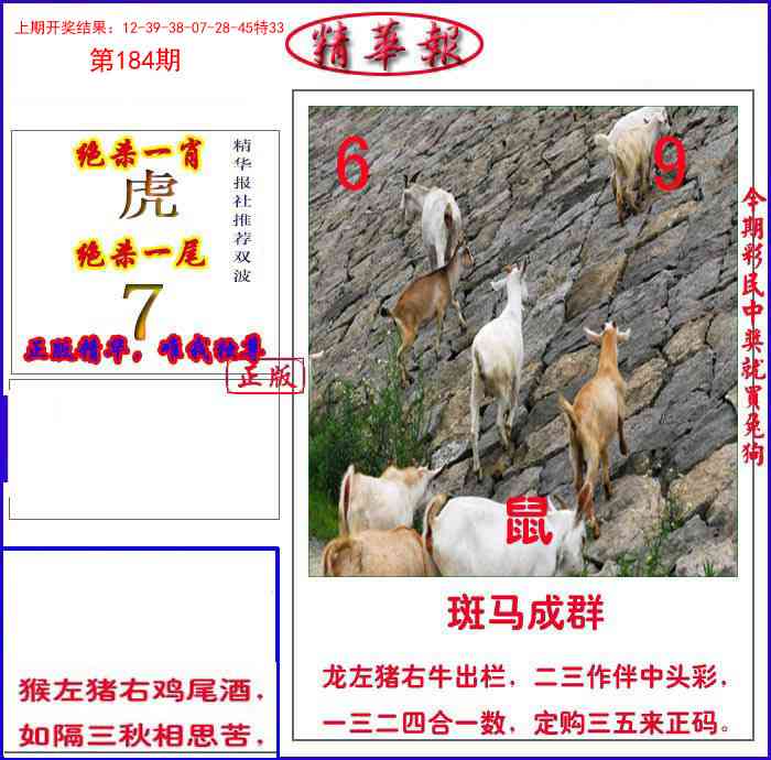 184期新精华报报[图]