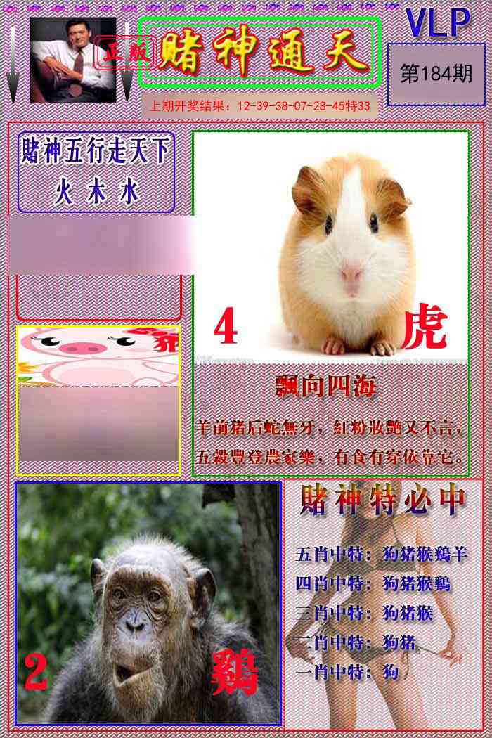 184期赌神通天报[图]