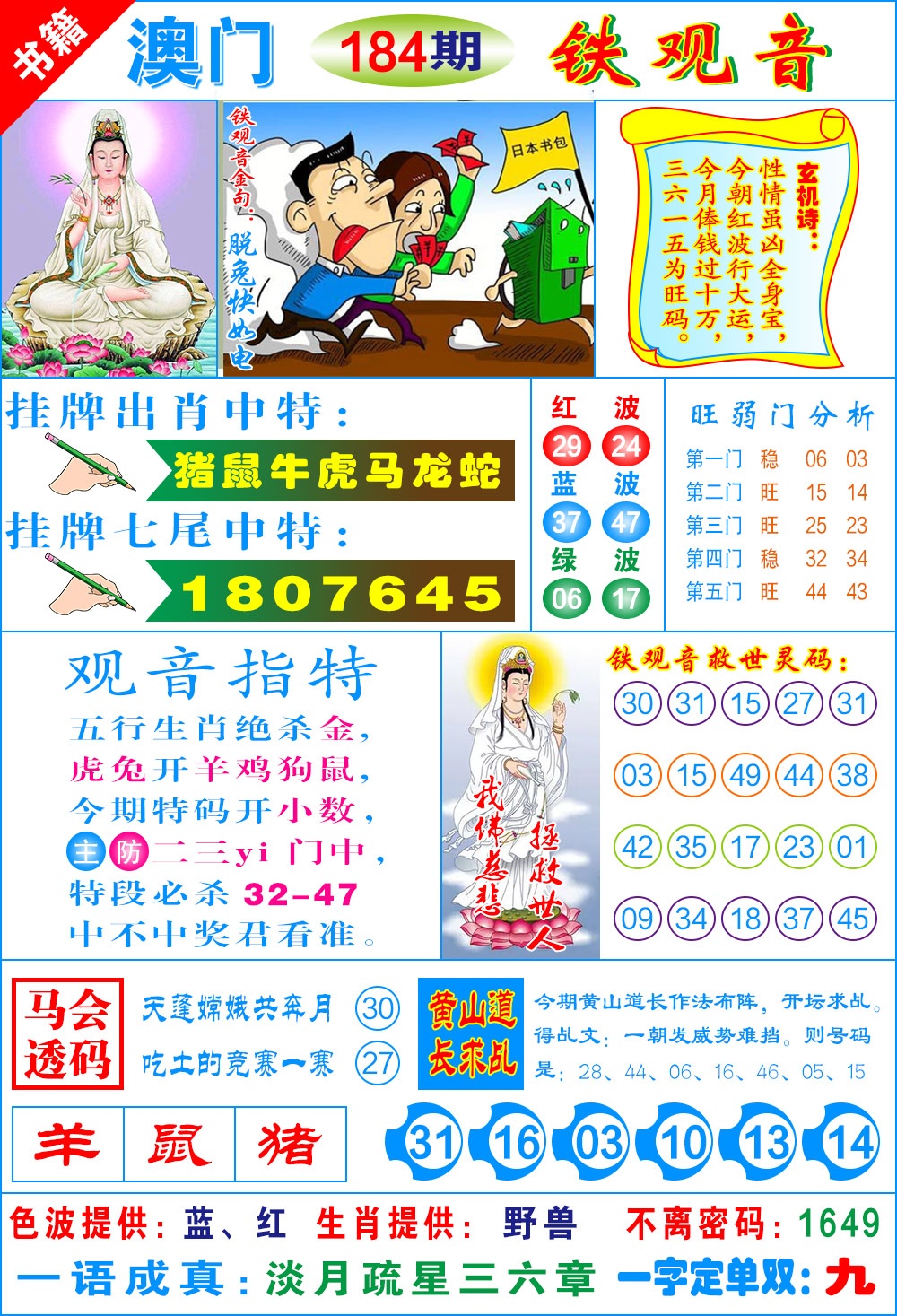 184期澳门铁观音[图]