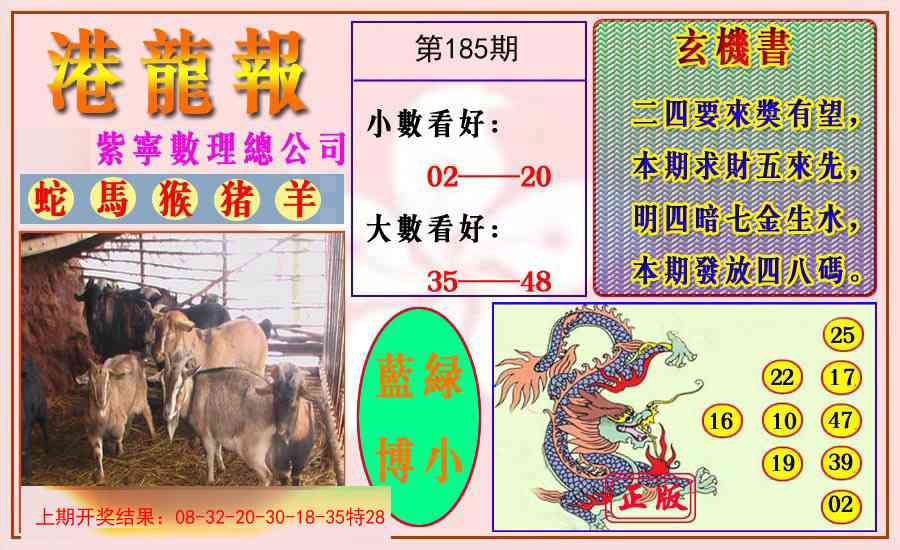 185期港龙报[图]