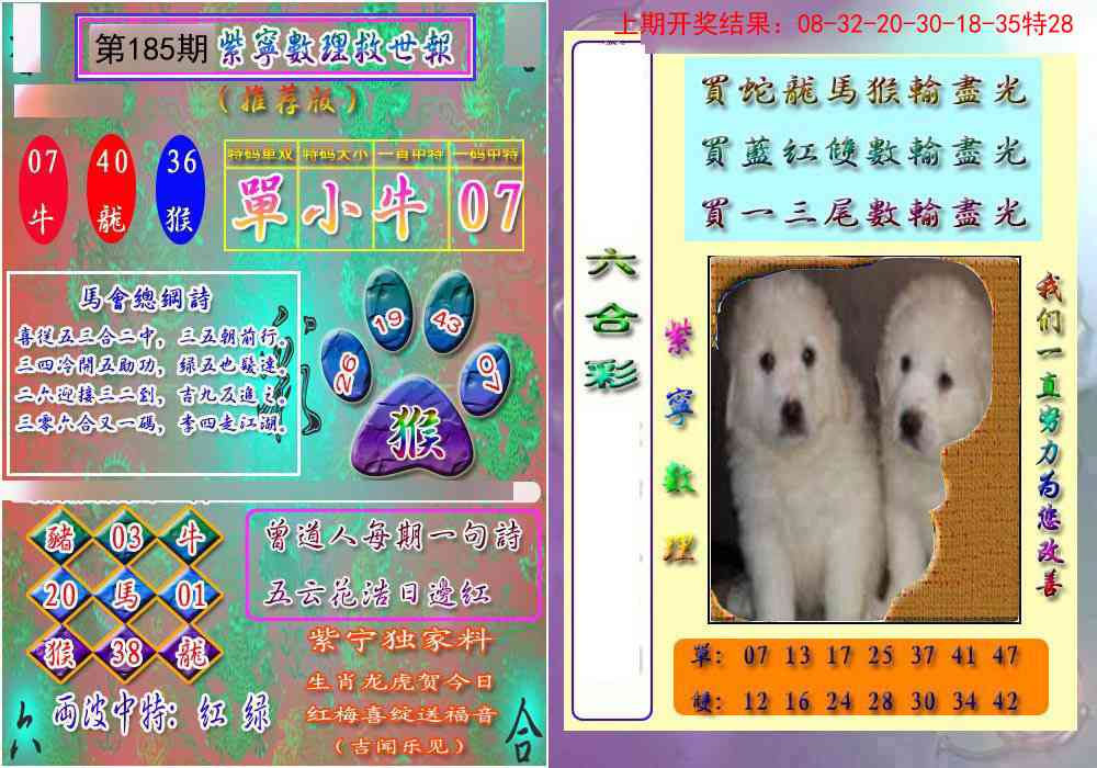 185期数理救世报[图]