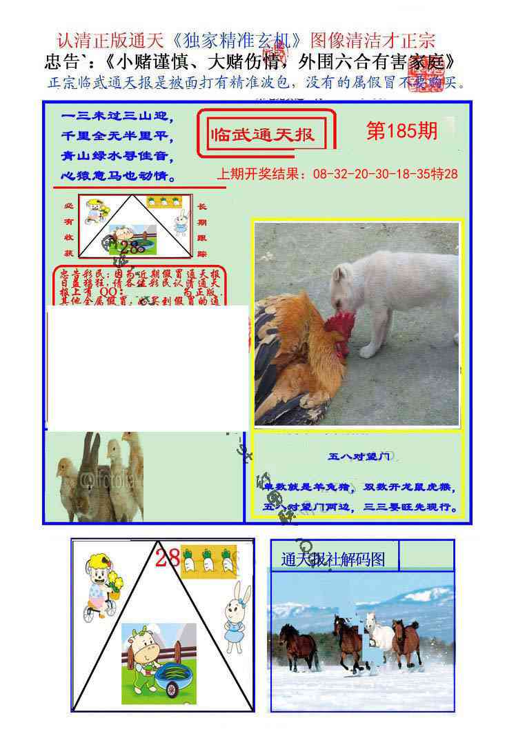 185期临武通天报[图]
