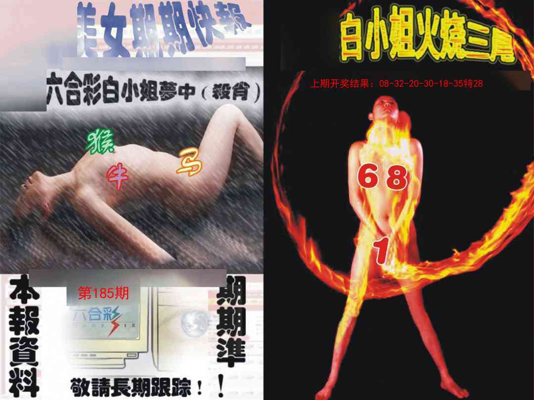 185期环球美女特码报[图]