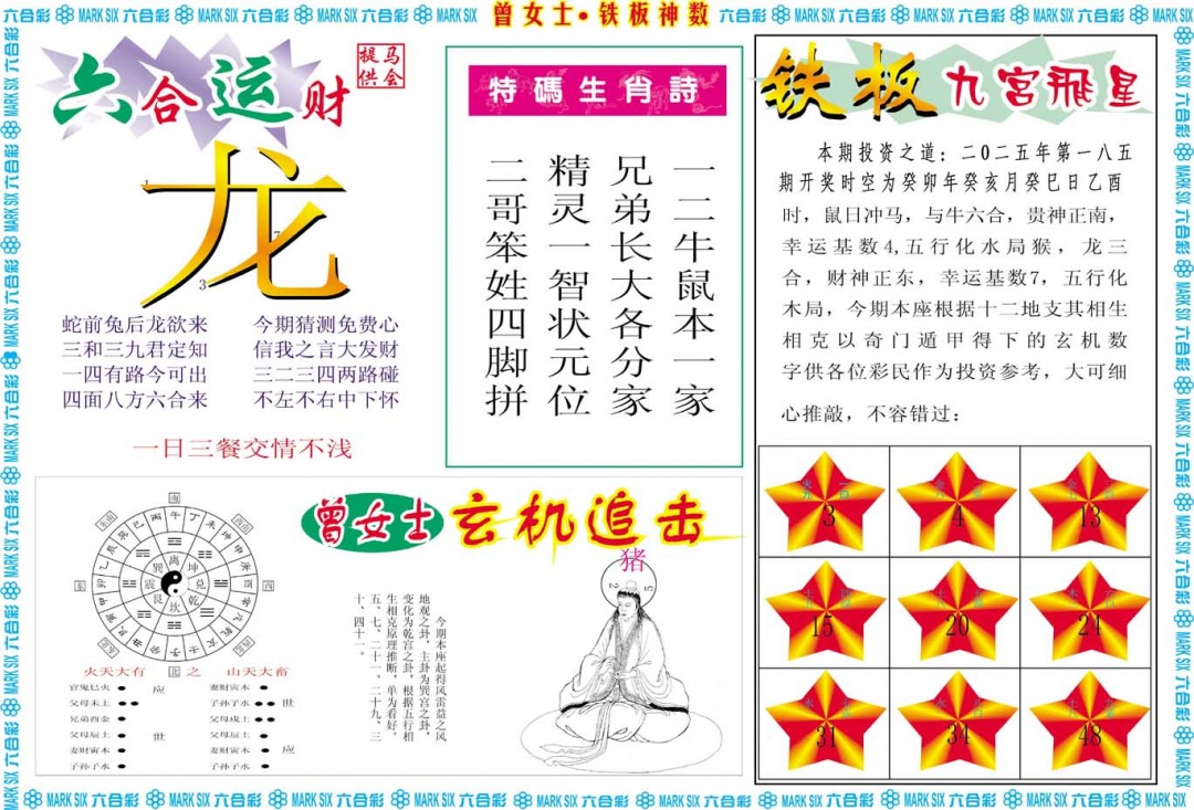 185期曾女士铁板神数B[图]