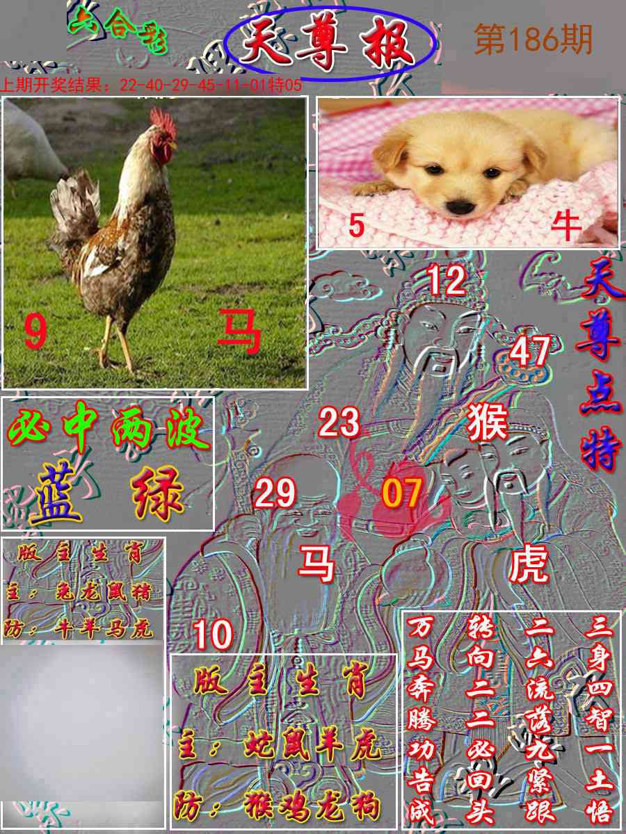 186期天尊报[图]