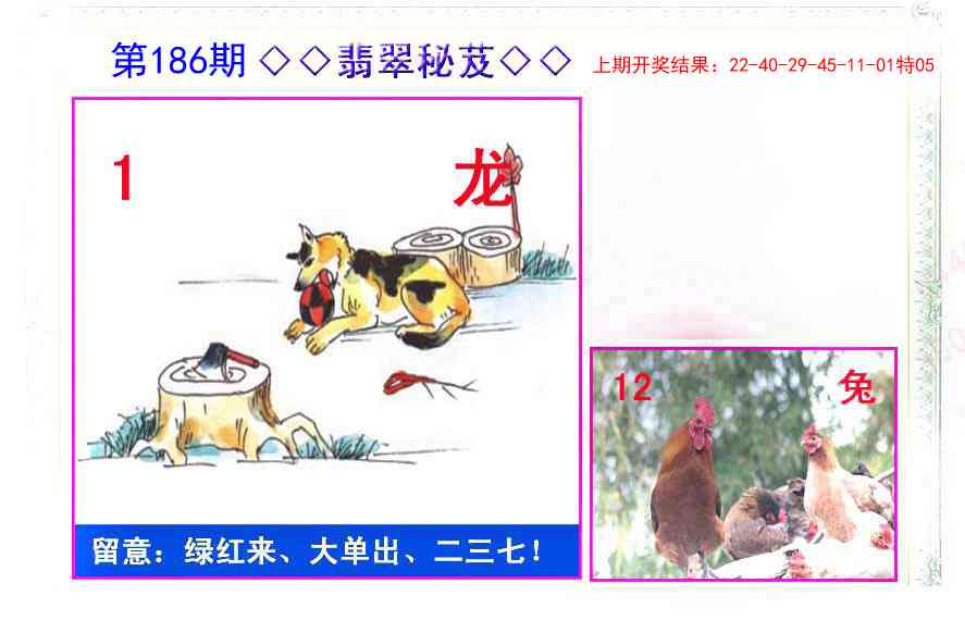 186期翡翠报[图]