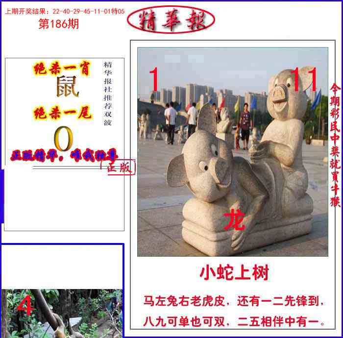 186期新精华报报[图]