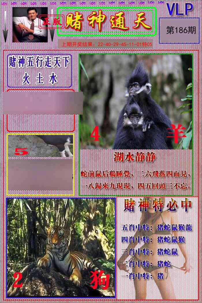 186期赌神通天报[图]
