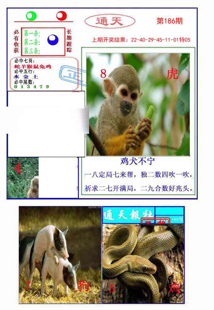 186期通天杀波图2[图]