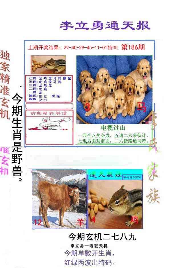 186期李立勇通天报[图]