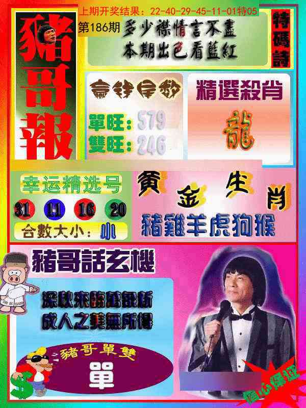 186期猪哥报[图]