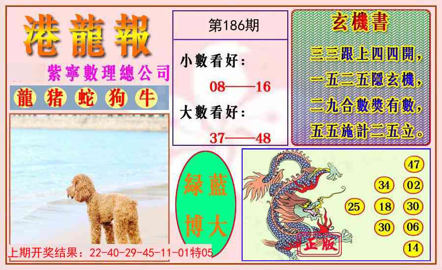186期港龙报[图]
