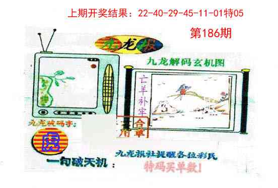 186期九龙报[图]