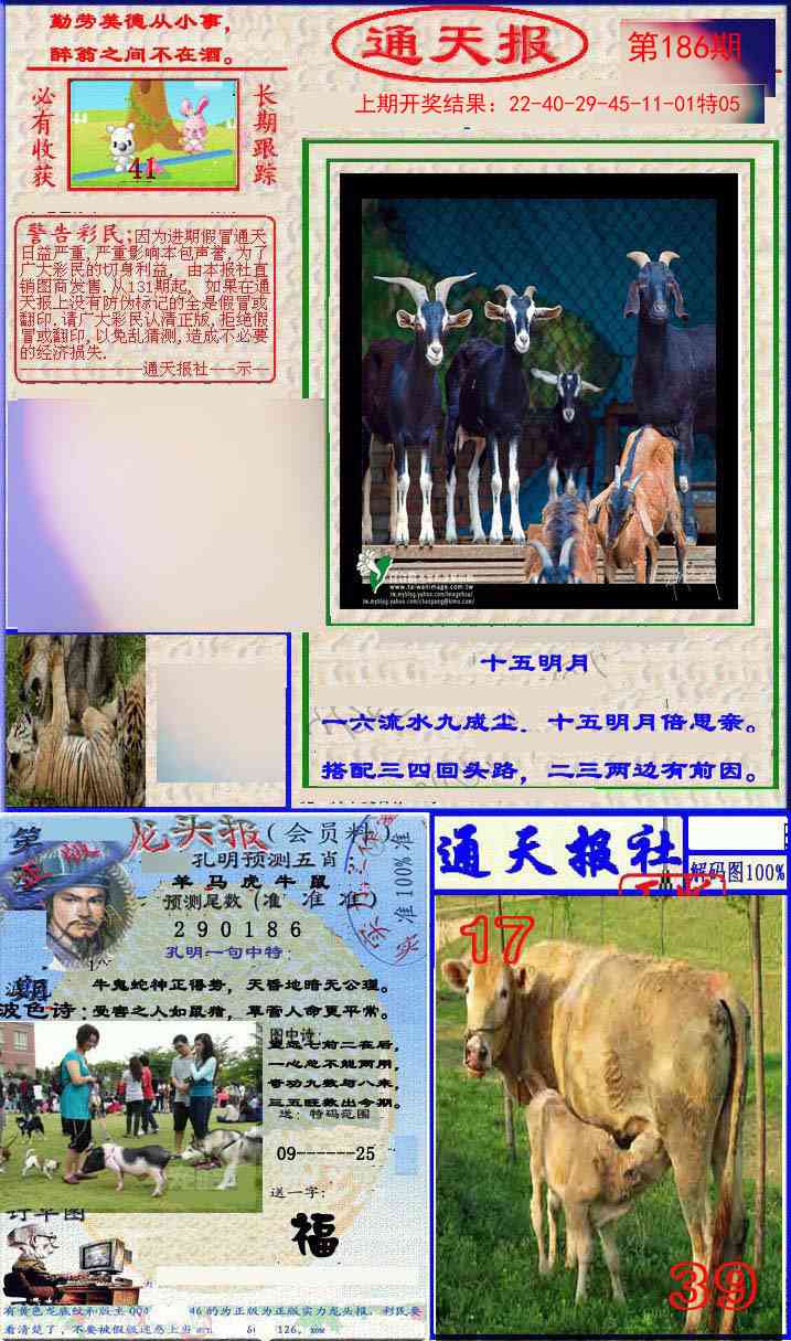 186期实力通天报[图]