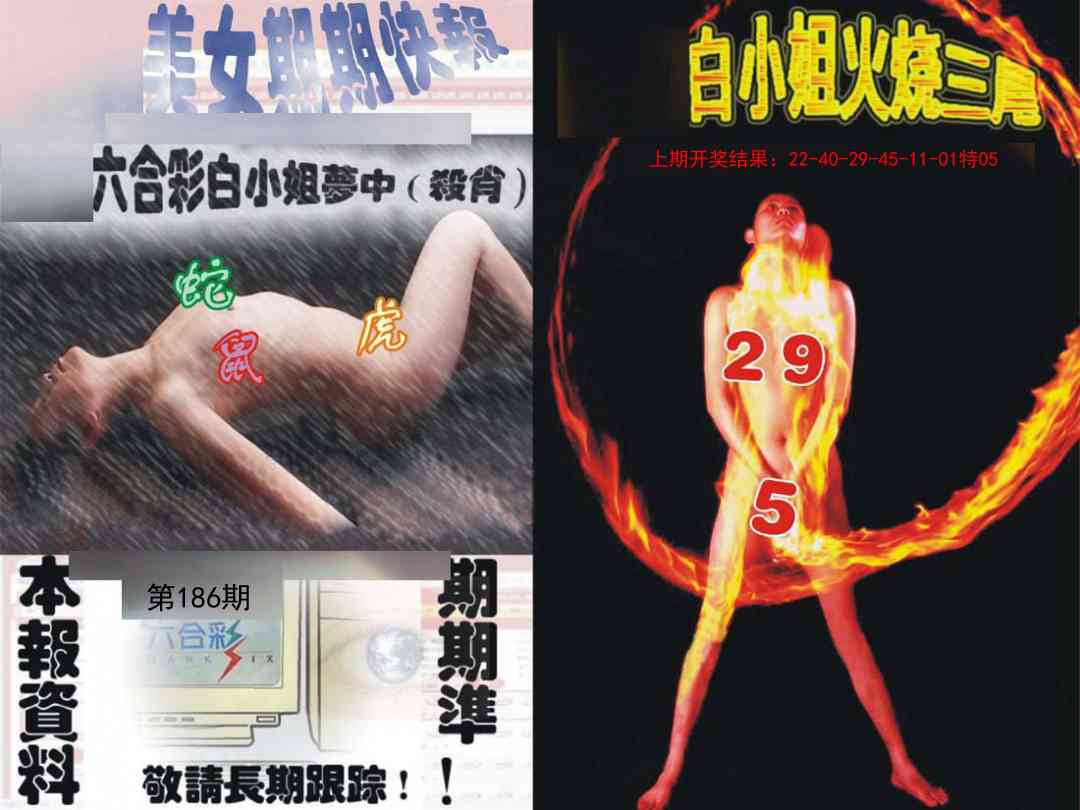186期环球美女特码报[图]