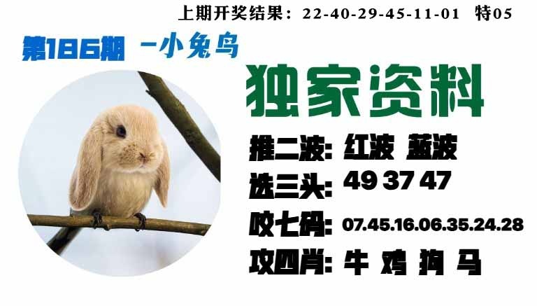 186期小兔鸟[图]