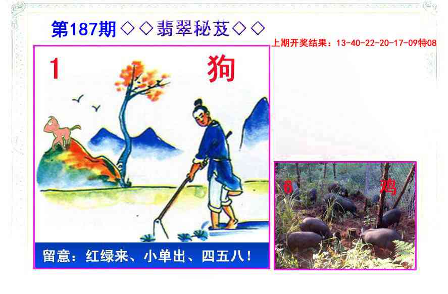 187期翡翠报[图]