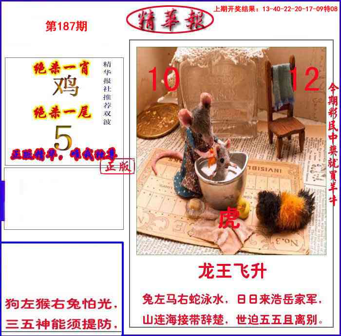 187期新精华报报[图]