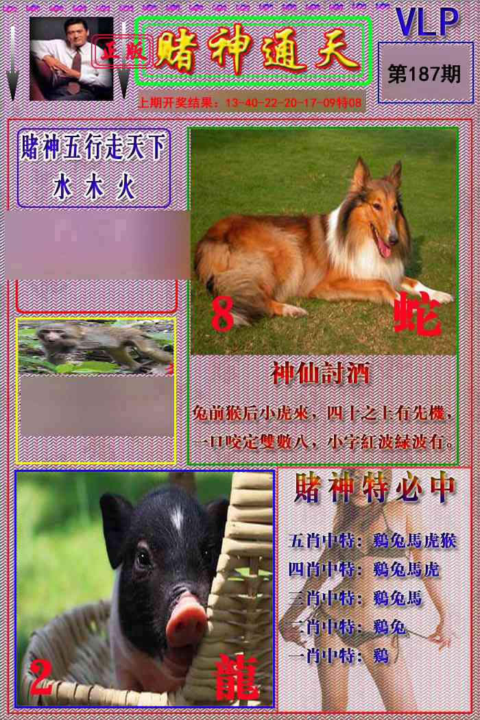 187期赌神通天报[图]