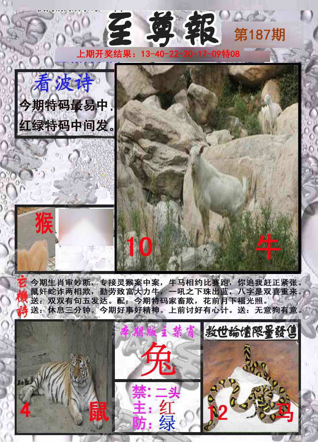 187期至尊报[图]