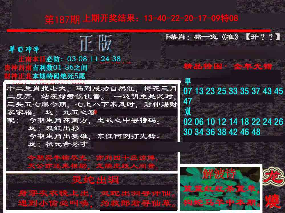 187期新港内幕[图]