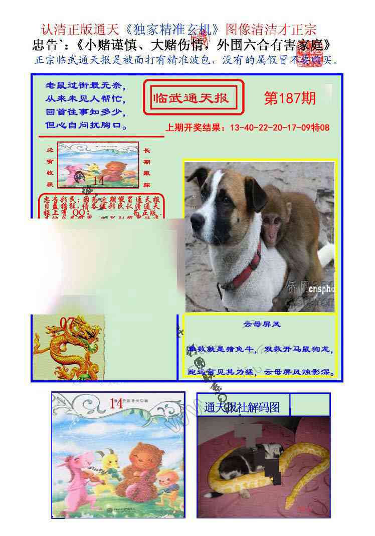 187期临武通天报[图]