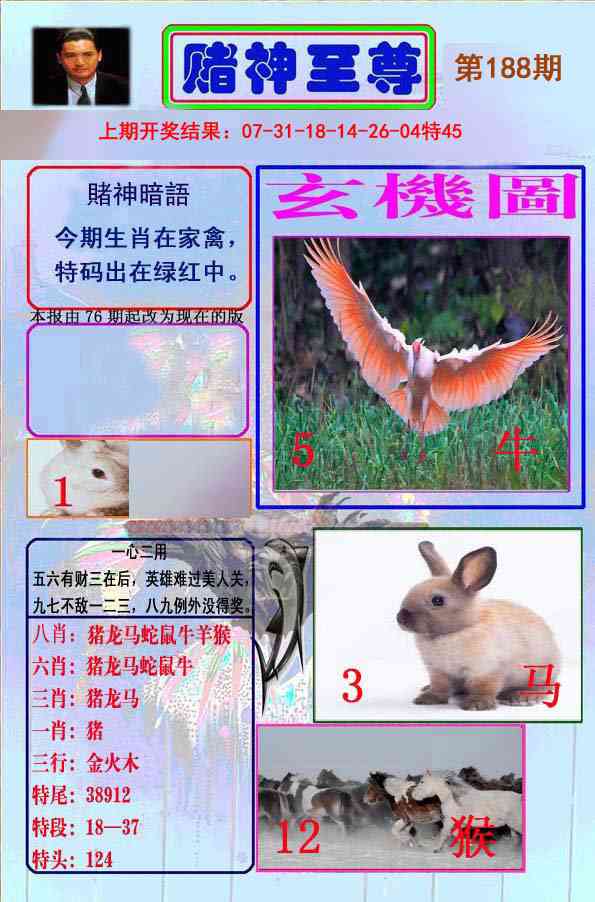 188期赌神至尊[图]