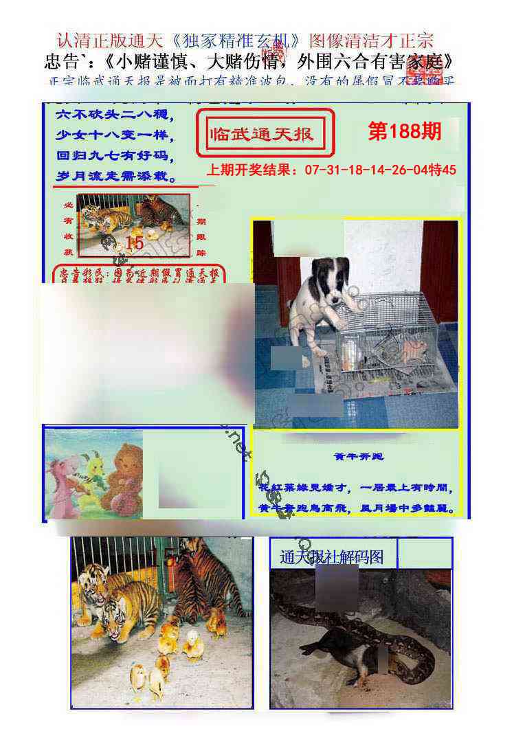 188期临武通天报[图]