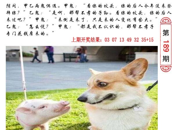 189期澳门生活幽默[图]