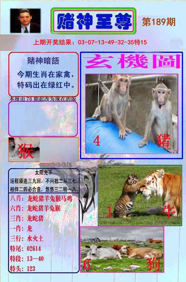 189期赌神至尊[图]