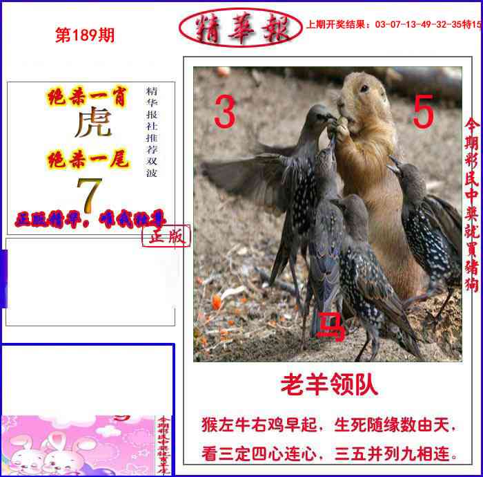 189期新精华报报[图]