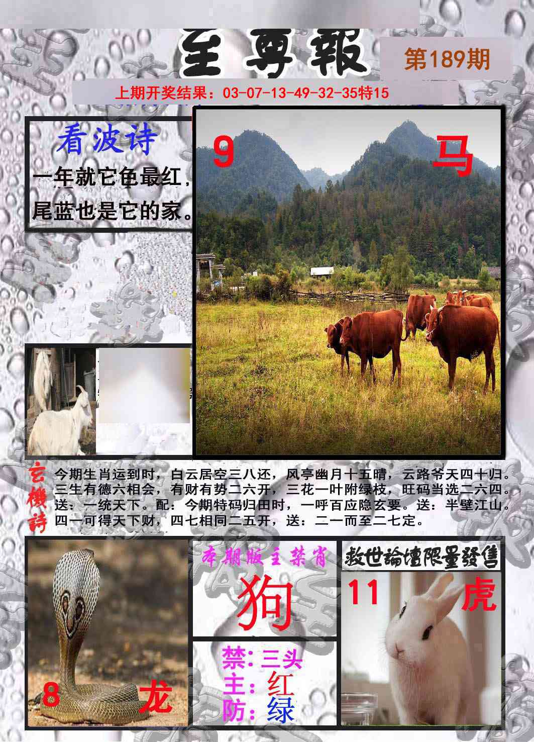 189期至尊报[图]