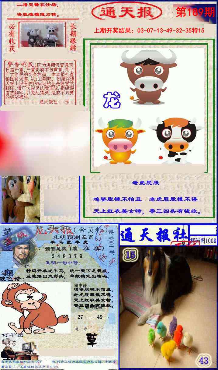 189期实力通天报[图]