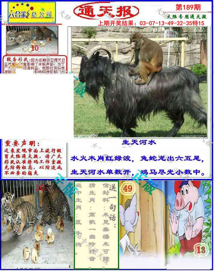 189期大陆通天报[图]