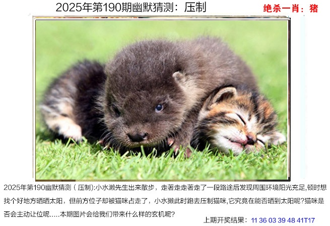 190期幽默猜测[图]