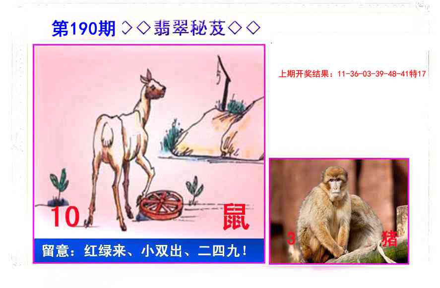 190期翡翠报[图]