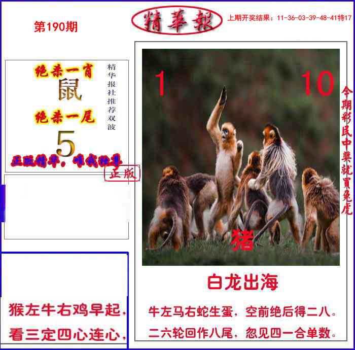 190期新精华报报[图]