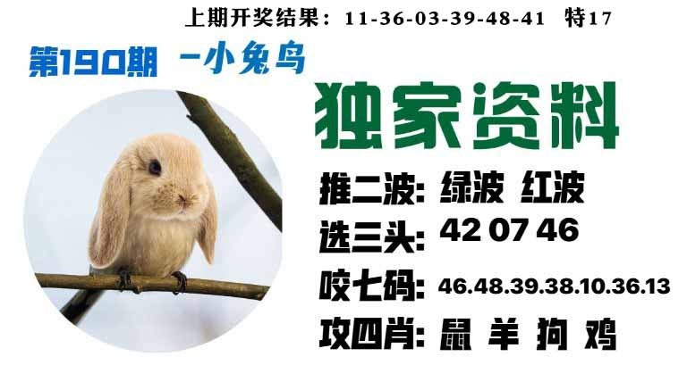 190期小兔鸟[图]