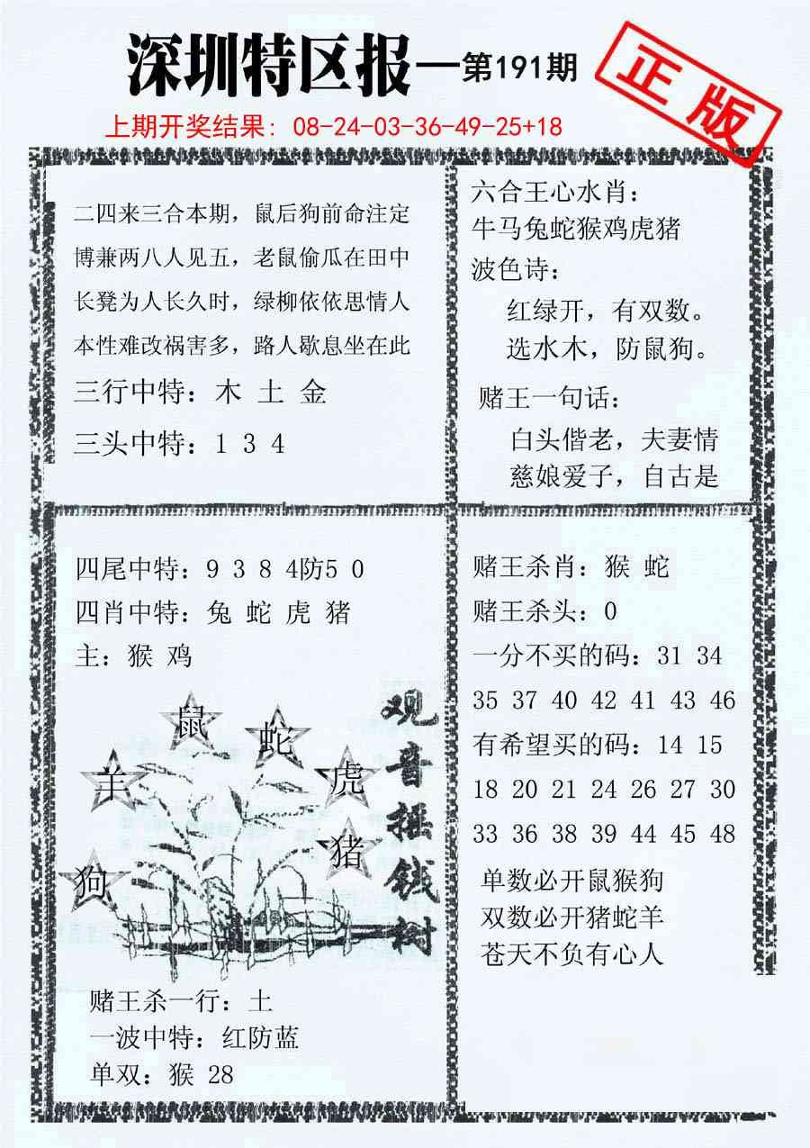 191期深圳特区报A[图]