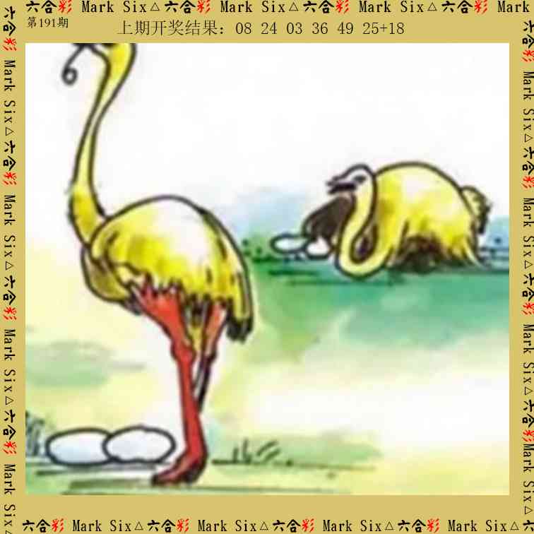 191期藏宝图[图]