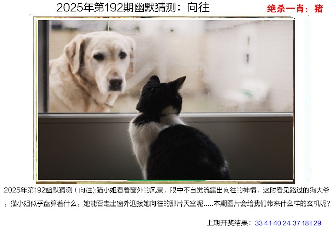 192期幽默猜测[图]