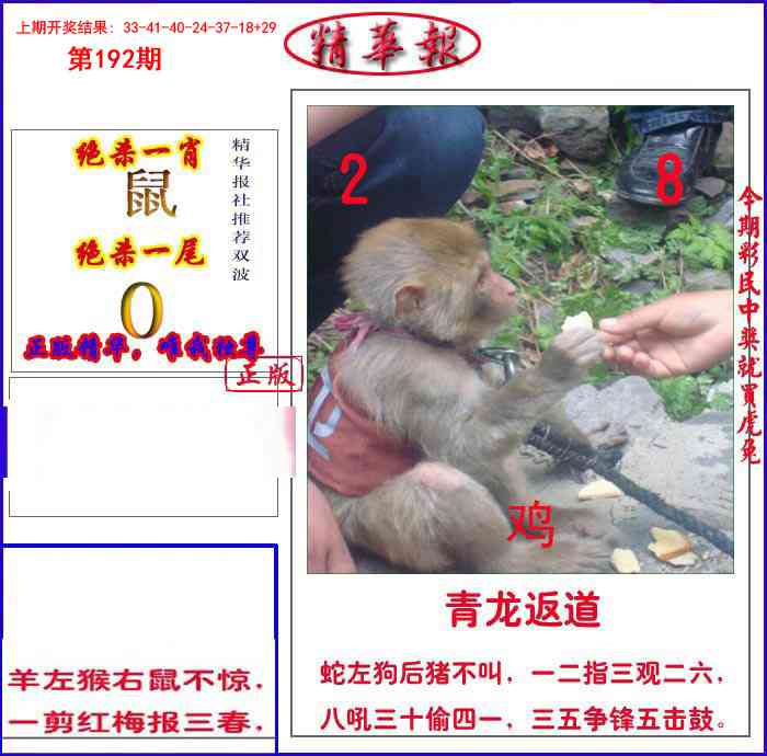 192期新精华报报[图]