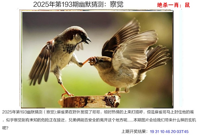 193期幽默猜测[图]