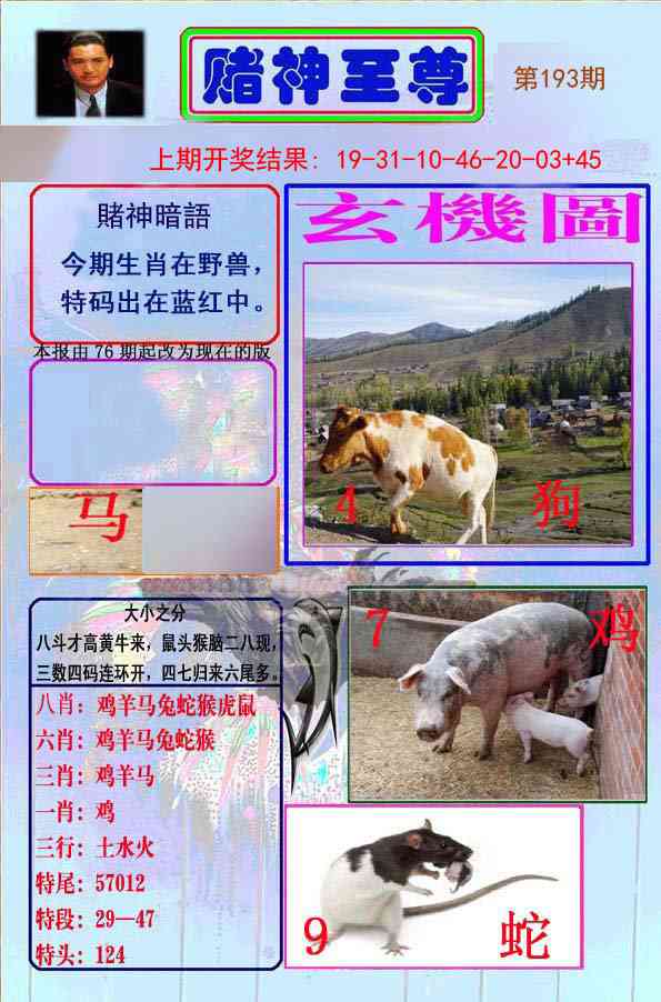 193期赌神至尊[图]