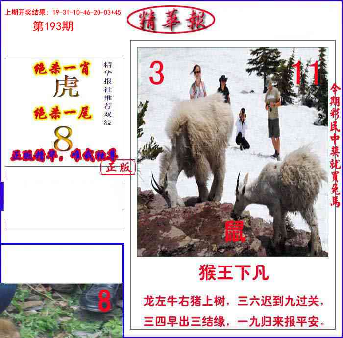 193期新精华报报[图]