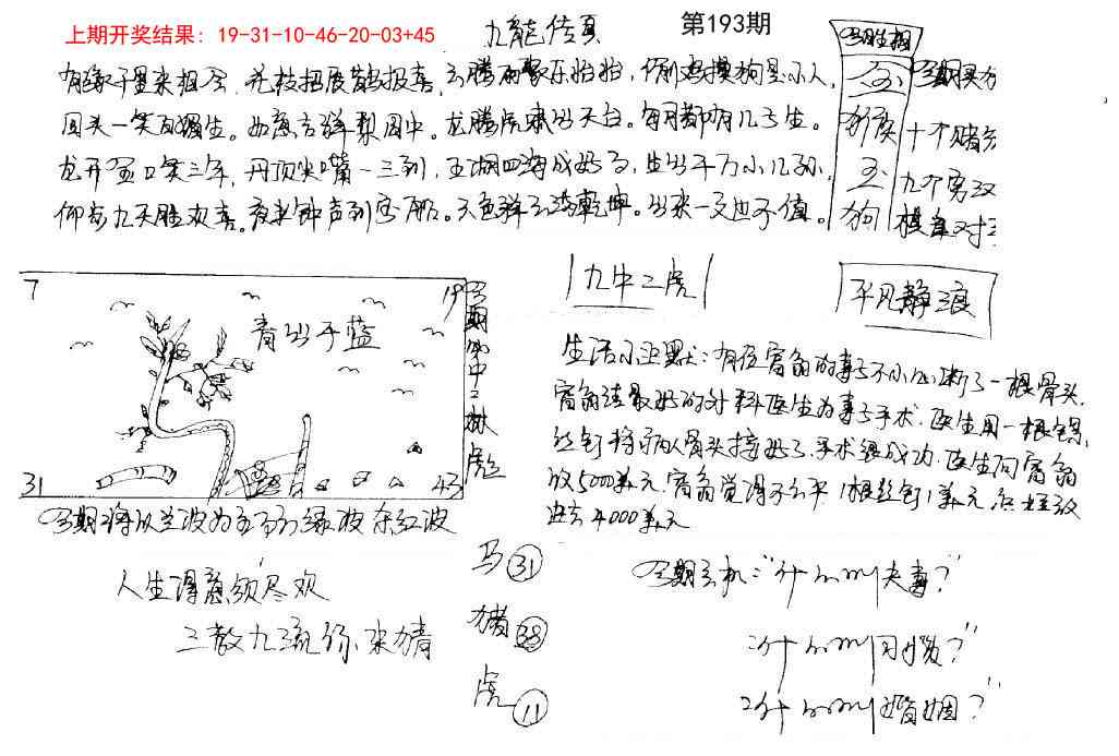 193期手写九龙内幕[图]