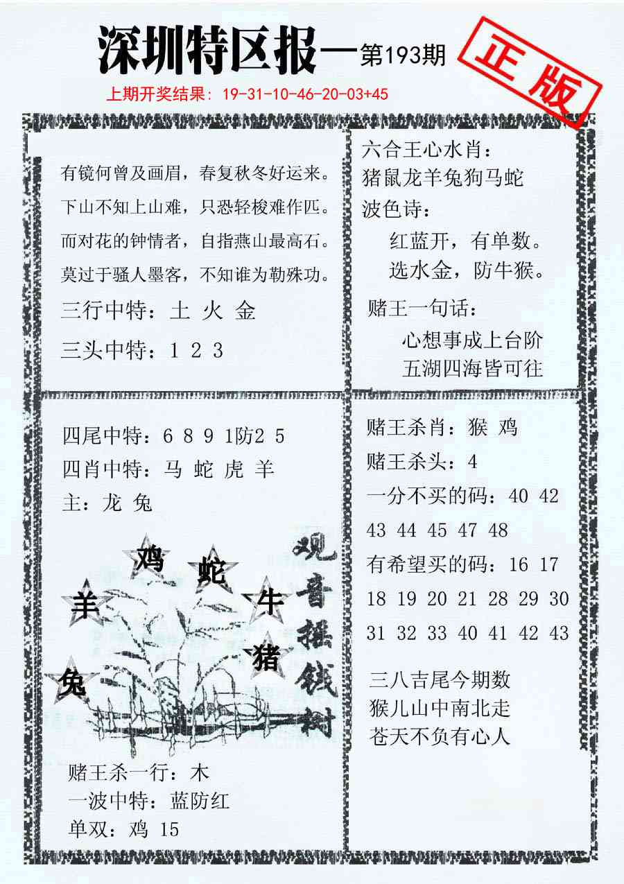 193期深圳特区报A[图]