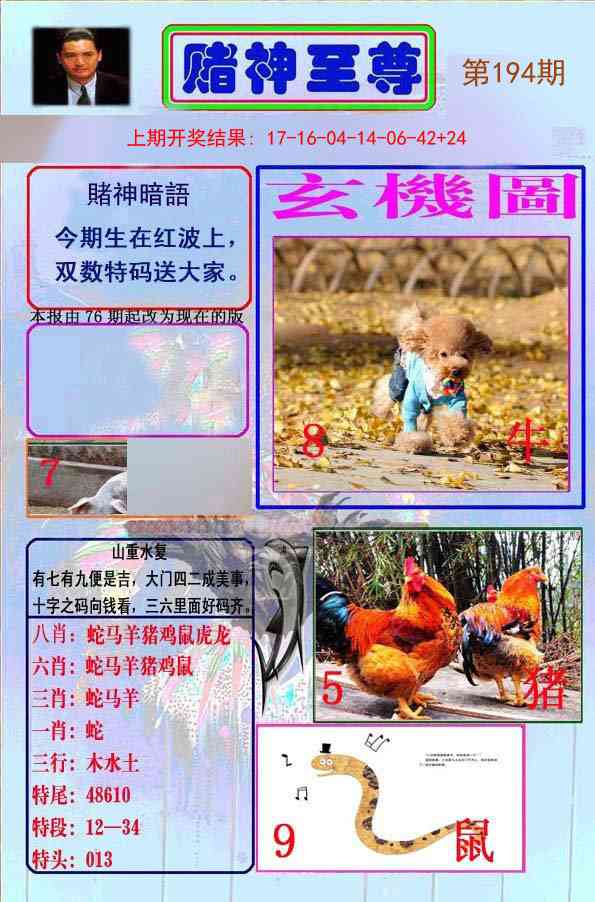 194期赌神至尊[图]