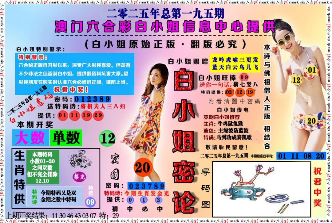 195期白小姐密论[图]