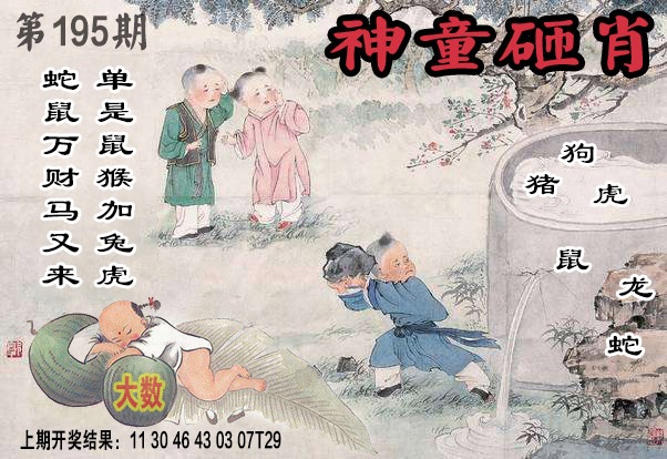 195期神童砸肖[图]